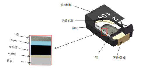 XY(图2)
