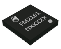 FMSH(图6)